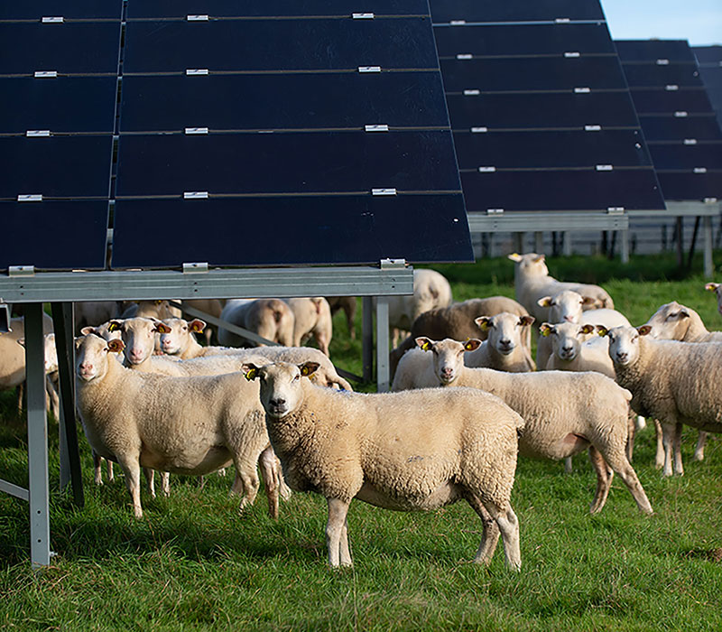 2017-Photosol-Verneuil