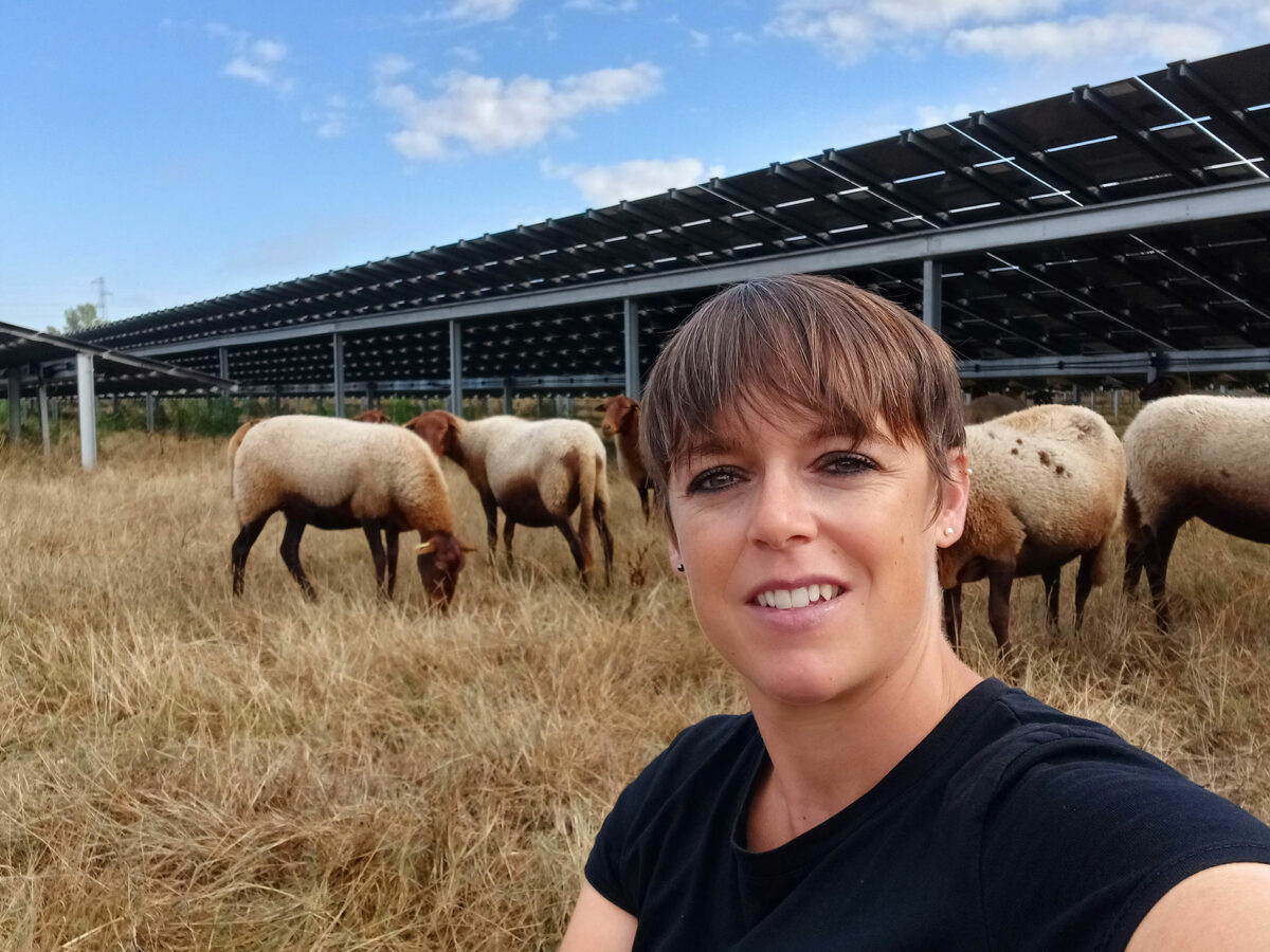 agrivoltaisme-photosol-ornella