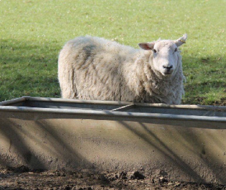Équipement des parcelles