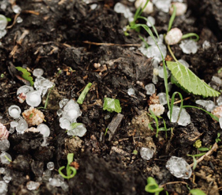 Limitation des pertes