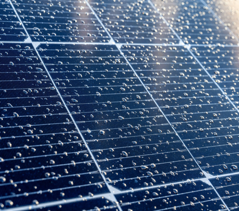 Limitation de l’évapotranspiration, réduction des besoins en eau.