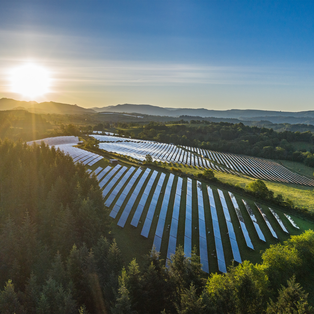 manifeste transitions